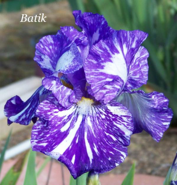 Batik