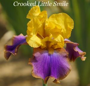 Crooked Little Smile
