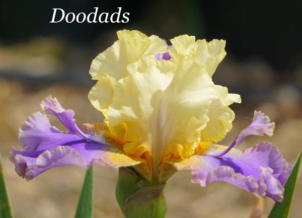 Doodads2