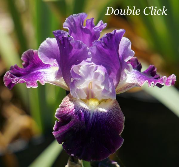 Double Click