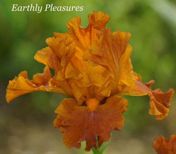 Earthly Pleasures