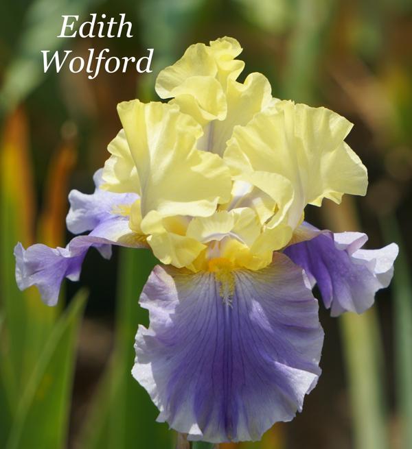 Edith Wolford