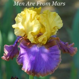 Men Are From Mars