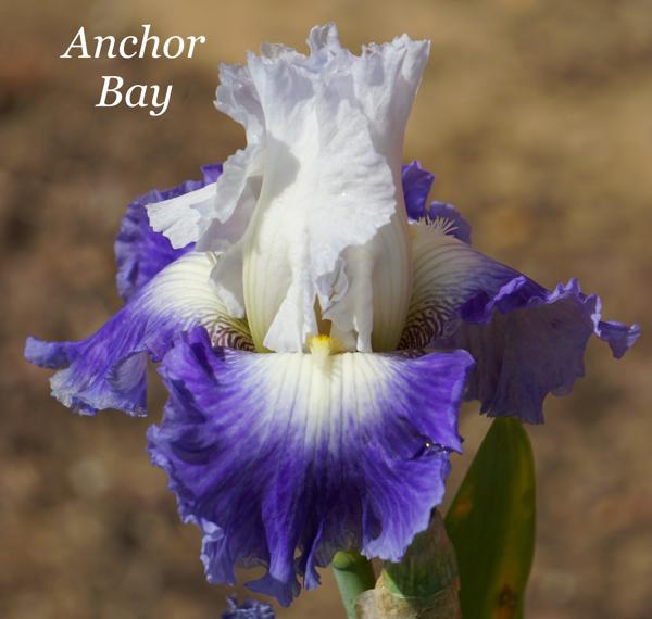 Anchor Bay