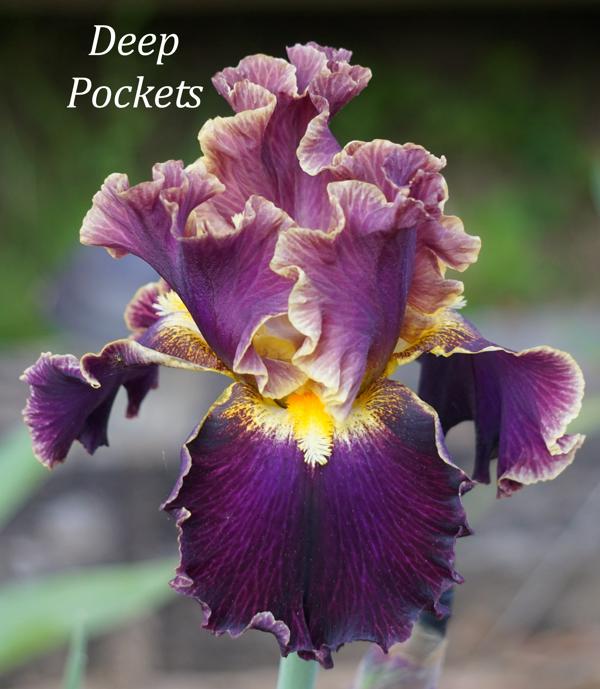 Deep Pockets