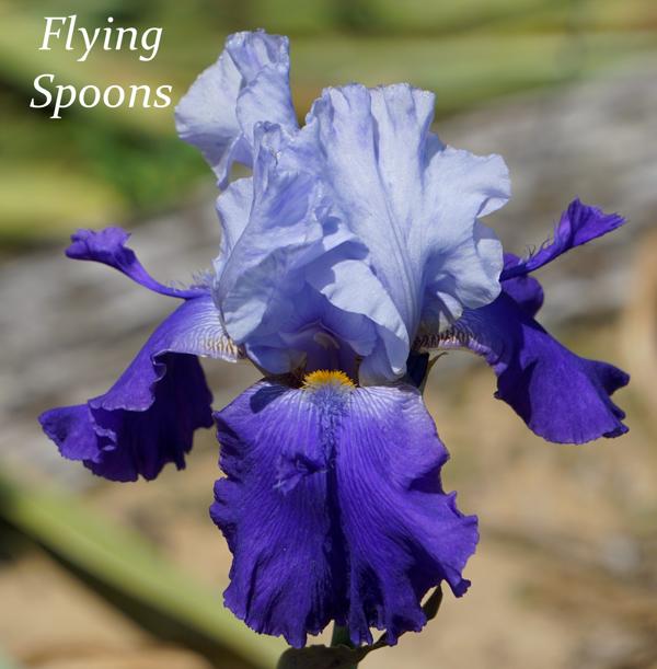Flying Spoons
