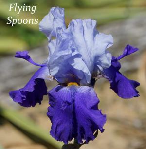 Flying Spoons