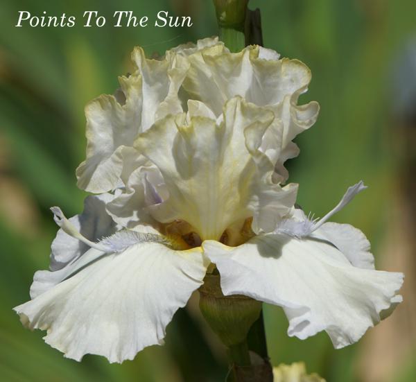 Points To The Sun2