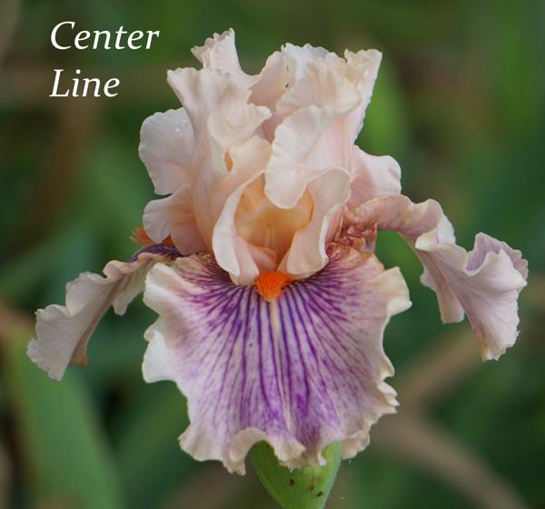 Center Line2