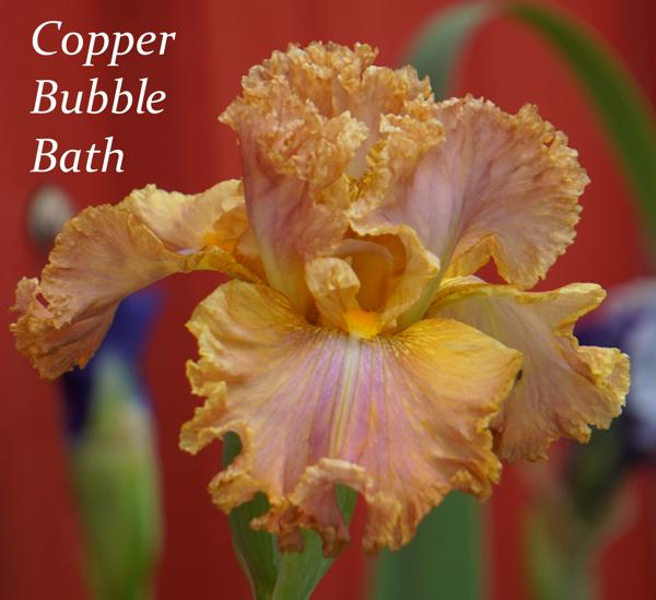 Copper Bubble Bath2