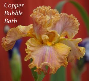 Copper Bubble Bath