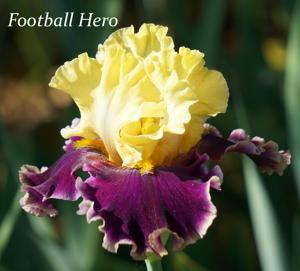 Football Hero
