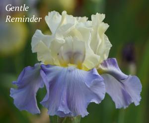 Gentle Reminder